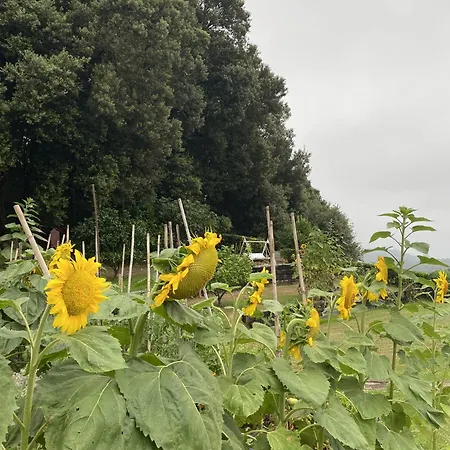 Vendégház La Desmera Isla Plana