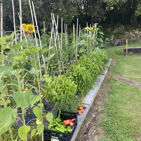 La Desmera Isla Plana