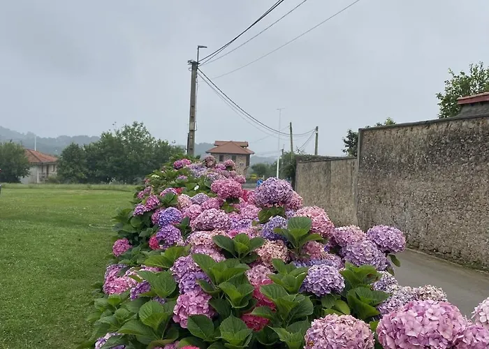 La Desmera Konukevi 4*