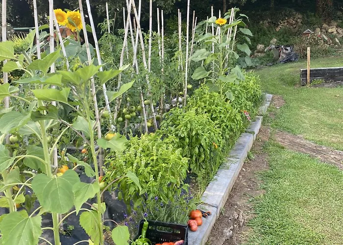 La Desmera Isla Plana