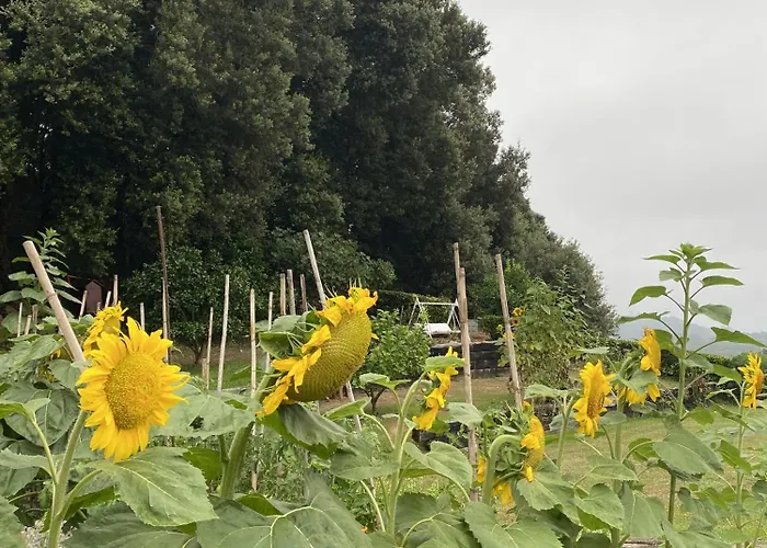 Guest house La Desmera Isla